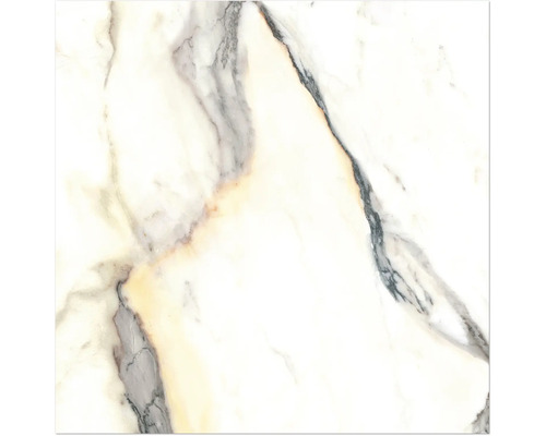 Carreau de marbre avec veinures naturelles