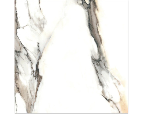 Carreau de marbre avec veinures