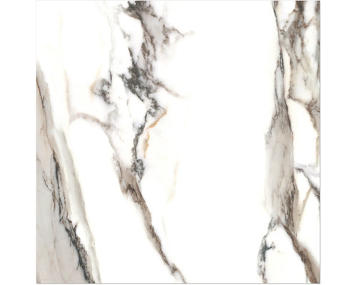 Carreau de marbre avec veinure naturelle