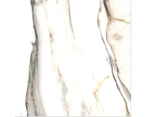 Carreau de marbre avec veinures