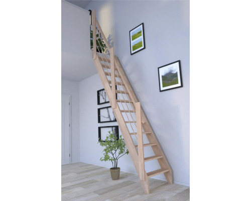 Raumszene mit einer Holztreppe, die in den oberen Stock führt, ergänzt durch Wandbilder und eine Zimmerpflanze.