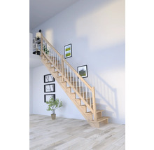 Escalier en bois avec rampe blanche dans une pièce lumineuse avec des tableaux et une plante.