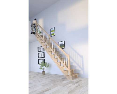 Escalier en bois avec rampe blanche dans une pièce lumineuse avec des tableaux et une plante.