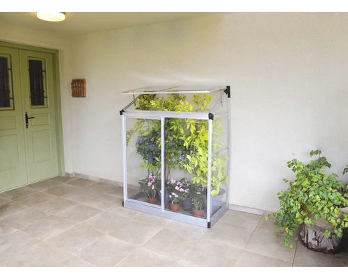 Petite serre avec des plantes sur une terrasse