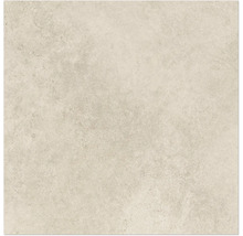 Carreau en céramique avec surface mate