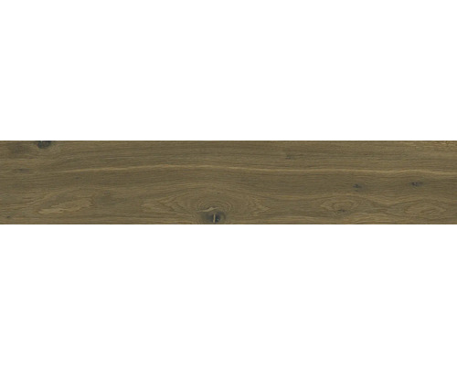 Holzstruktur mit Ästen als Hintergrund