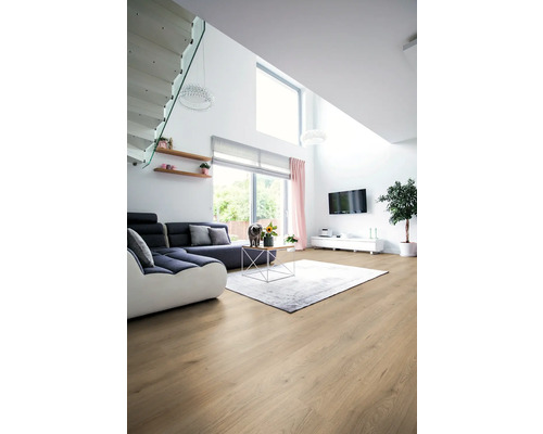 Heller Wohnraum mit Sofa, Teppich und Holzboden