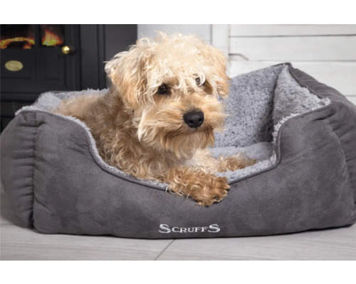 Chien allongé dans un lit pour chien Scruffs gris.