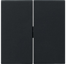 Insert d''interrupteur double pour installation électrique