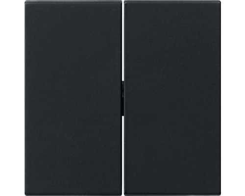 Insert d''interrupteur double pour installation électrique