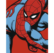 Illustration du personnage de bande dessinée Spider-Man