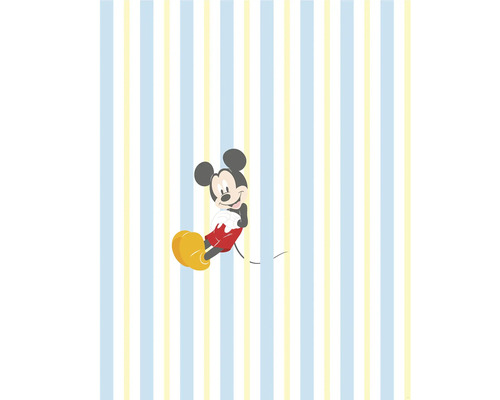 Fototapete Vlies DX4-163 Into Wonderland Mickey Relax 4-tlg. 200 x 250 cm