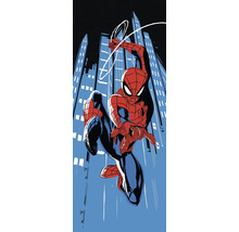 Illustration de Spider-Man devant une ligne d''horizon