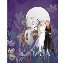 Illustration avec les personnages Anna, Elsa, Olaf, le renne Sven et le lézard Bruni du film La Reine des Neiges devant une pleine lune