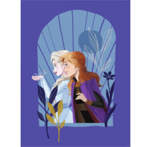 Illustration d''Anna et Elsa de La Reine des neiges avec un petit oiseau bleu