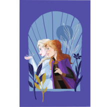 Illustration des personnages Elsa et Anna du film La Reine des neiges avec un oiseau