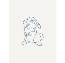 Dessin d''un lapin