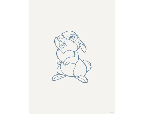 Dessin d''un lapin