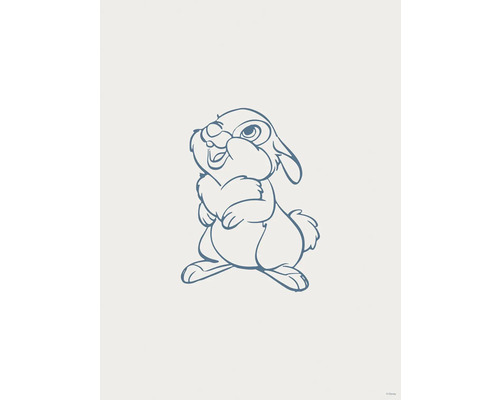 Illustration d''un lapin