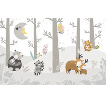 Illustration d''une forêt avec des animaux et une lune