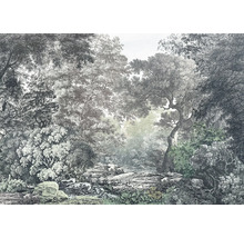 Papier peint panoramique intissé IAX8-0063 Into Wonderland Wood Wide Web 8 pces 400 x 280 cm