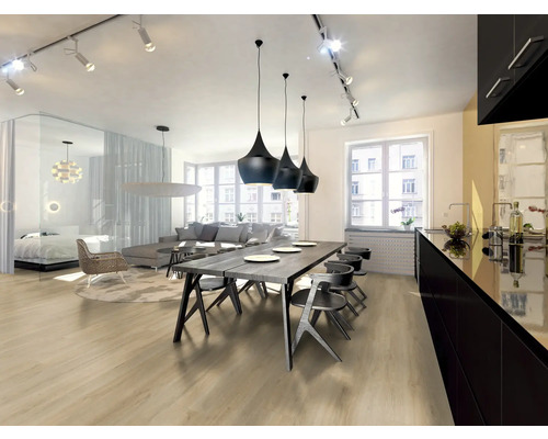 Heller Wohnraum mit Essbereich, Küche, Wohnzimmer und Schlafbereich.