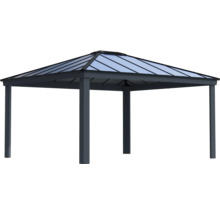 Carport simple CANOPIA by Palram Colorado 14x16 426 x 487 cm anthracite