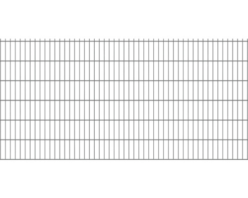 Doppelstabmatte Typ 8/6/8 251 x 123 cm RAL 7016 anthrazit Doppelstabmatte Typ 8/6/8 251 x 123 cm RAL 7016 anthrazit