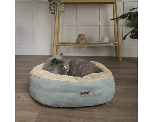 Chat gris couché dans un panier rond et moelleux pour chat de la marque Scruffs