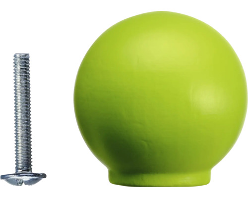 Möbelknopf und Schraube