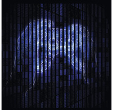 Akustikpaneel digital bedruckt Control 2 1195 x 1133 x 19 mm Set = 2 Einzelpaneele