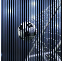 Akustikpaneel digital bedruckt Soccer 2 1195 x 1133 x 19 mm Set = 2 Einzelpaneele