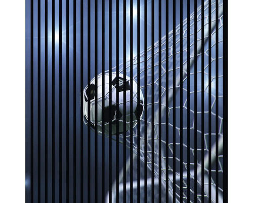 Akustikpaneel digital bedruckt Soccer 2 1195 x 1133 x 19 mm Set = 2 Einzelpaneele Akustikpaneel digital bedruckt Soccer 2 1195 x 1133 x 19 mm Set = 2 Einzelpaneele