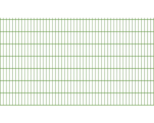 Panneau rigide double fil 8/6/8 251 x 143 cm RAL 6005 vert mousse