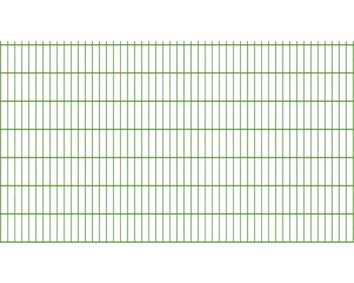 Doppelstabmatte Typ 8/6/8 251 x 143 cm RAL 6005 moosgrün Doppelstabmatte Typ 8/6/8 251 x 143 cm RAL 6005 moosgrün