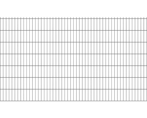 Doppelstabmatte Typ 8/6/8 251 x 143 cm RAL 7016 anthrazit Doppelstabmatte Typ 8/6/8 251 x 143 cm RAL 7016 anthrazit