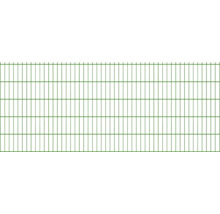 Panneau rigide double fil 8/6/8 251 x 103 cm RAL 6005 vert mousse