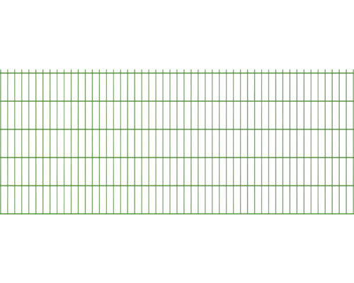 Panneau rigide double fil 8/6/8 251 x 103 cm RAL 6005 vert mousse