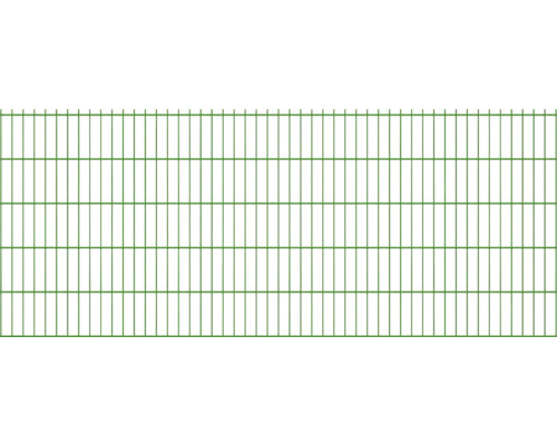Doppelstabmatte Typ 8/6/8 251 x 103 cm RAL 6005 moosgrün Doppelstabmatte Typ 8/6/8 251 x 103 cm RAL 6005 moosgrün