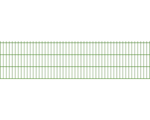 Panneau rigide double fil 8/6/8 251 x 63 cm RAL 6005 vert mousse