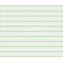 Panneau rigide double fil 8/6/8 251 x 203 cm RAL 6005 vert mousse