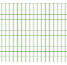 Panneau rigide double fil 8/6/8 251 x 223 cm RAL 6005 vert mousse