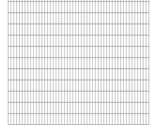 Doppelstabmatte Typ 8/6/8 251 x 223 cm RAL 7016 anthrazit Doppelstabmatte Typ 8/6/8 251 x 223 cm RAL 7016 anthrazit
