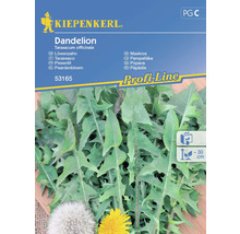 Kiepenkerl Löwenzahn Samenpackung