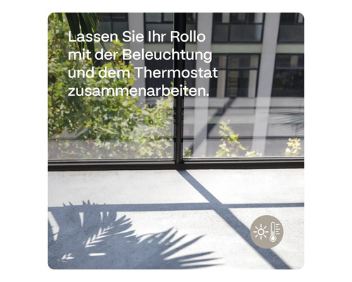 Rollo, Beleuchtung und Thermostat arbeiten zusammen
