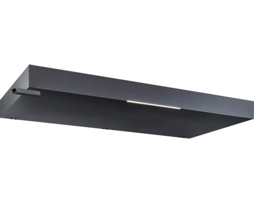 Luminaire extérieur à LED gris foncé avec détecteur de mouvement