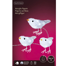 Figurines décoratives en acrylique en set d''oiseaux avec éclairage LED pour l''intérieur
