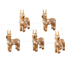 Fünf stehende, leuchtende Deko-Rentiere