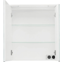 Spiegelschrank Pelipal xpressline 3261 66 x 16 x 72 cm weiß hochglanz 2-türig LED
