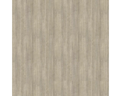 Bord décoratif PICCANTE chêne quartz K4324 5000x34mm Revêtement de sol aspect bois
